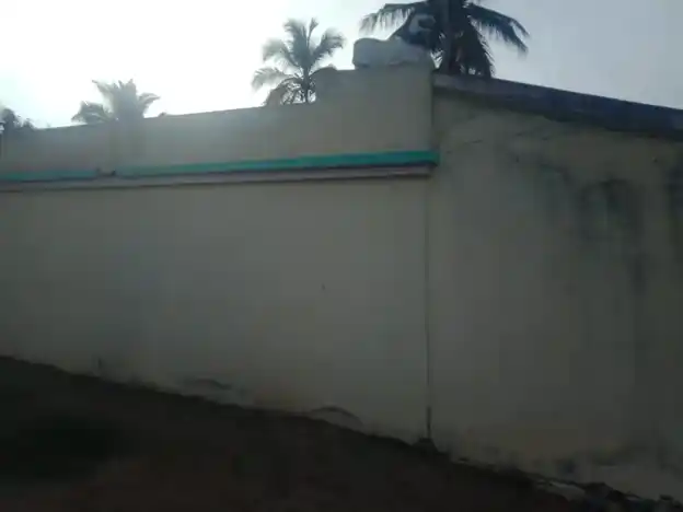 Arulmigu Selliyamman Temple, Periyapanamutlu - 635108 அருள்மிகு செல்லியம்மன் திருக்கோயில், பெரியபனமுட்டுலு - 635108, Krishnagiri - Ancient Temple Architecture and History Image 2