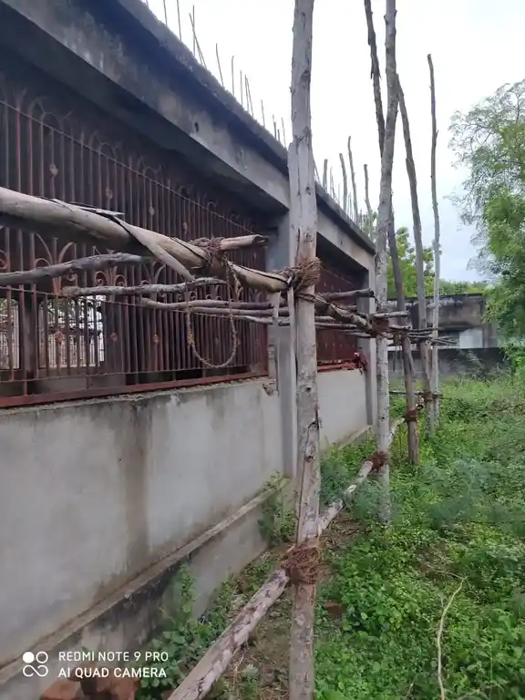 Arulmigu Selliyamman Temple, Periyathathur, Ariyalur - 621805 Arulmigu Selliyamman Temple, Periyathathur, Ariyalur - 621805, Ariyalur - Ancient Temple Architecture and History Image 4