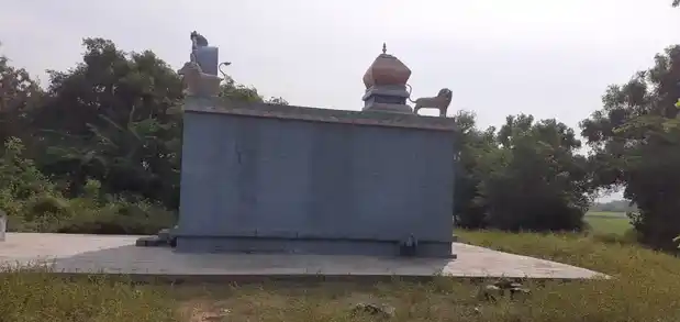 Arulmigu Selliyamman Temple, Pu. Killanur, Pu. Killanur - 606107 அருள்மிகு செல்லியம்மன் திருக்கோயில், Pu. Killanur, Pu. Killanur - 606107, Kallakurichi - Ancient Temple Architecture and History Image 4