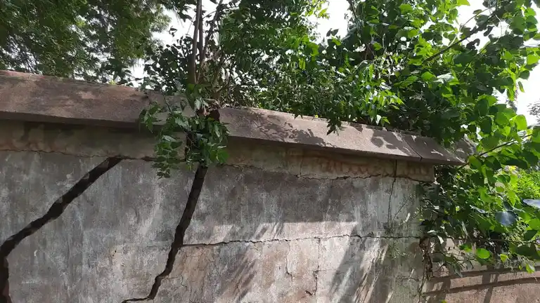 Arulmigu Selliyamman Temple, Radapuram, Rathapuram - 621803 Arulmigu Selliyamman Temple, Radapuram, Rathapuram - 621803, Ariyalur - Ancient Temple Architecture and History Image 4