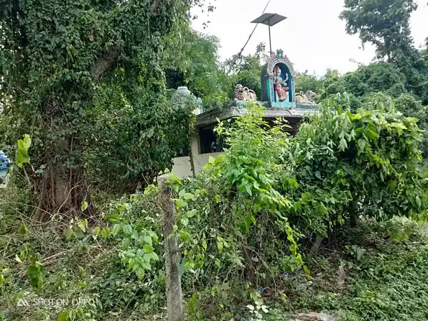 Arulmigu Selliyamman Temple, Sethirabalapuram, Sethirabalapuram - 609806 அருள்மிகு செல்லியம்மன் திருக்கோயில், Sethirabalapuram, Sethirabalapuram - 609806, Mayiladuthurai - Ancient Temple Architecture and History Image 2