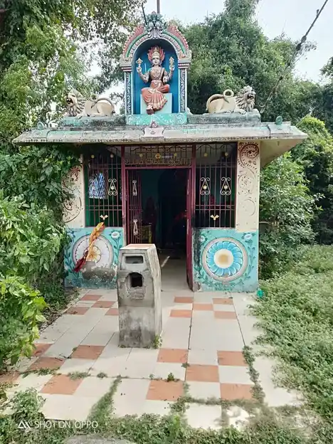 Arulmigu Selliyamman Temple, Sethirabalapuram, Sethirabalapuram - 609806 அருள்மிகு செல்லியம்மன் திருக்கோயில், Sethirabalapuram, Sethirabalapuram - 609806, Mayiladuthurai - Ancient Temple Architecture and History Image 3