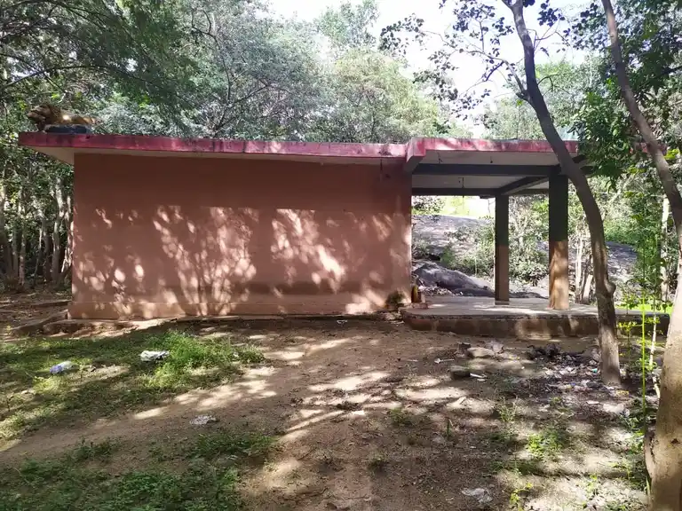 Arulmigu Selliyamman Temple, Thimmapuram - 635112 அருள்மிகு செல்லியம்மன் திருக்கோயில், திம்மாபுரம் - 635112, Krishnagiri - Ancient Temple Architecture and History Image 4