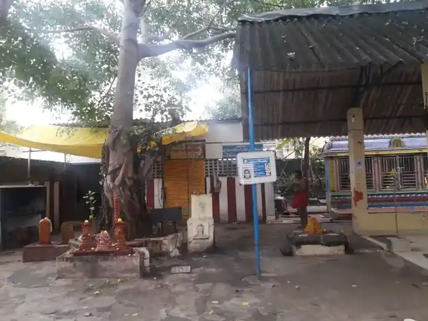 Arulmigu Selliyamman Temple, Thiruvanmiyur, Chennai - 600041 அருள்மிகு செல்லியம்மன் திருக்கோயில், திருவான்மியூர், சென்னை - 600041, Chennai - Ancient Temple Architecture and History Image 3