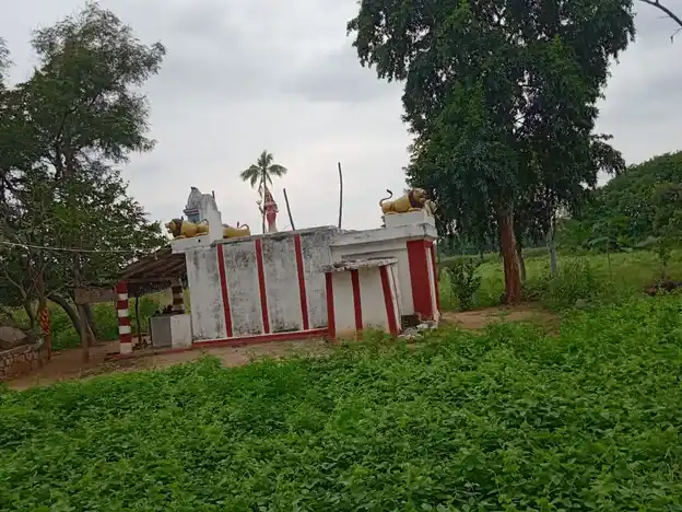 Arulmigu Selliyamman Temple, Upparahalli - 636808 அருள்மிகு செல்லியம்மன் திருக்கோயில், Upparahalli - 636808, Dharmapuri - Ancient Temple Architecture and History Image 3