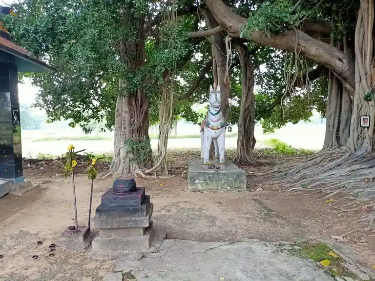 Arulmigu Selliyamman Temple, Vadakaraithaazhanur - 605752 அருள்மிகு செல்லியம்மன் திருக்கோயில், Vadakaraithaazhanur - 605752, Viluppuram - Ancient Temple Architecture and History Image 2