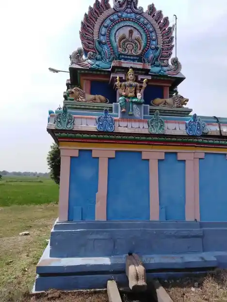 Arulmigu Selliyamman Temple, Vadakkupattam - 612804 அருள்மிகு செல்லியம்மன் திருக்கோயில், Vadakkupattam - 612804, Thiruvarur - Ancient Temple Architecture and History Image 2
