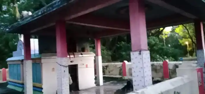 Arulmigu Selliyamman Temple, Vayaloor - 603102 அருள்மிகு செல்லியம்மன் திருக்கோயில், Vayaloor - 603102, Chengalpattu - Ancient Temple Architecture and History Image 2