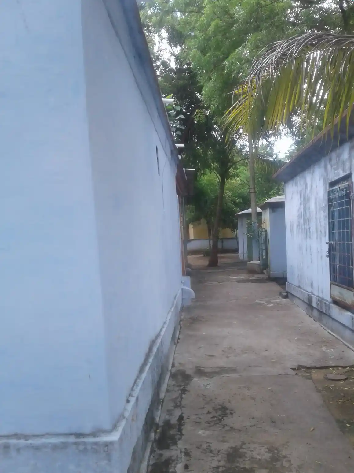 Arulmigu Selliyaramman Temple, Middle Of The Street, Pannaioor - 627761 அருள்மிகு செல்லியாரம்மன் திருக்கோயில், Middle Of The Street, Pannaioor - 627761, Tenkasi - Ancient Temple Architecture and History Image 2