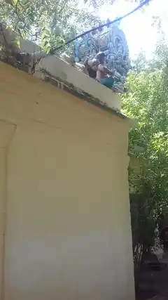 Arulmigu Selliyaramman Temple, North Side Of The Road, Paruvakudi - 627953 Arulmigu Selliyaramman Temple, North Side Of The Road, Paruvakudi - 627953, Tenkasi - Ancient Temple Architecture and History Image 2