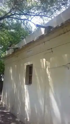 Arulmigu Selliyaramman Temple, North Side Of The Road, Paruvakudi - 627953 Arulmigu Selliyaramman Temple, North Side Of The Road, Paruvakudi - 627953, Tenkasi - Ancient Temple Architecture and History Image 4