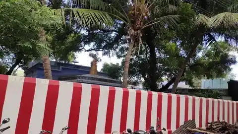 Arulmigu Selliyaramman Temple, Puliyangudi - 627755 அருள்மிகு செல்லியரம்மன் திருக்கோயில், Puliyangudi - 627755, Tenkasi - Ancient Temple Architecture and History Image 3