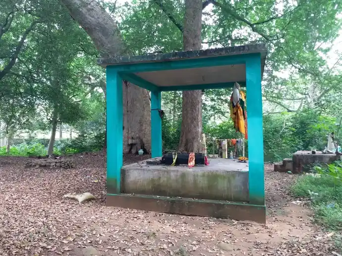 Arulmigu Selumbu Nachiamman Temple, Vadakarai - 625601 அருள்மிகுசெலும்பு நாச்சியம்மன் திருக்கோயில், Vadakarai - 625601, Theni - Ancient Temple Architecture and History Image 3