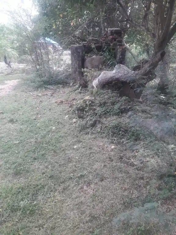 Arulmigu Selva Pillayar Temple, Vanganagar - 614710