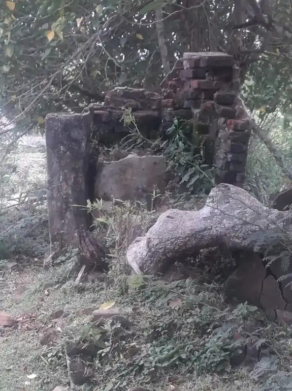 Arulmigu Selva Pillayar Temple, Vanganagar - 614710 அருள்மிகு செல்வபிள்ளையார் திருக்கோயில், Vanganagar - 614710, Thiruvarur - Ancient Temple Architecture and History Image 2