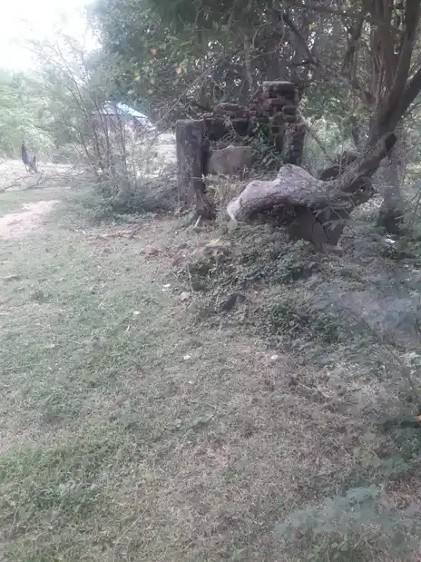 Arulmigu Selva Pillayar Temple, Vanganagar - 614710 அருள்மிகு செல்வபிள்ளையார் திருக்கோயில், Vanganagar - 614710, Thiruvarur - Ancient Temple Architecture and History Image 4