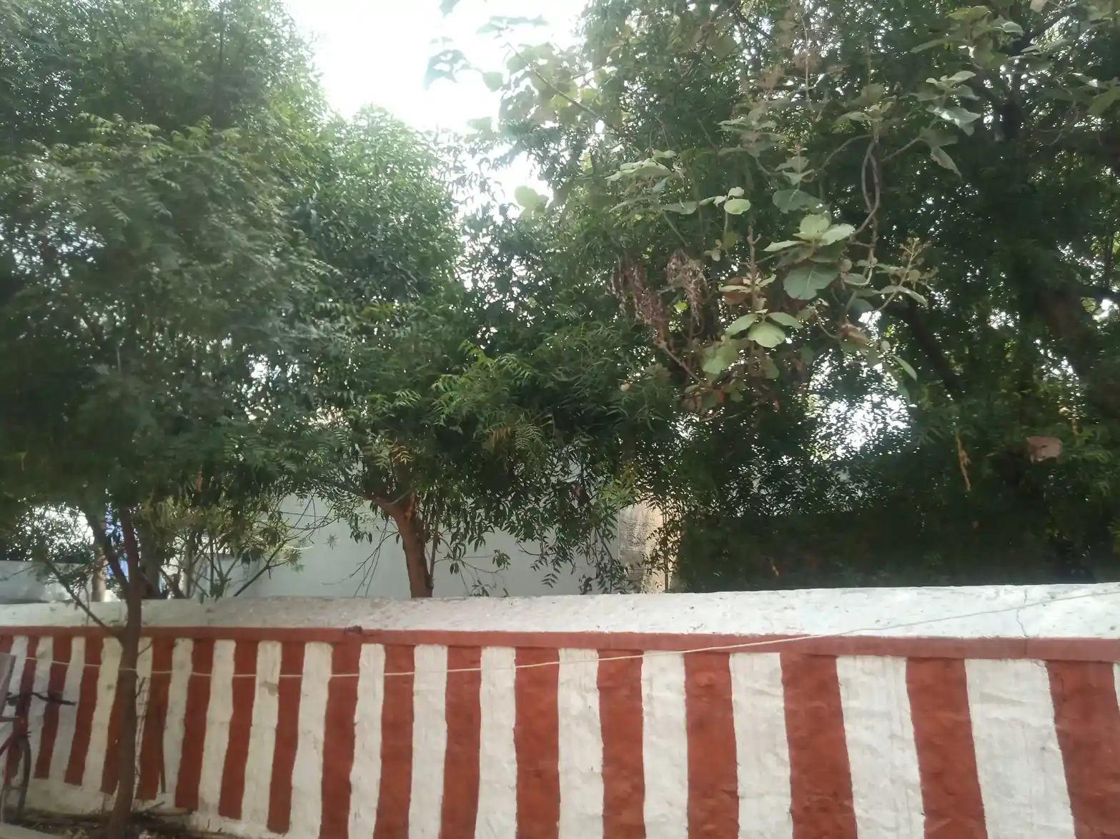 Arulmigu Selva Vinagar Temple, Vanaarpettai - 627002 அருள்மிகு செல்வ விநாயகர் திருக்கோயில், Vanaarpettai - 627002, Tirunelveli - Ancient Temple Architecture and History Image 4