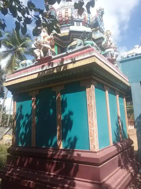Arulmigu Selva Vinayagar And Vana Kaliyamman Temple, Sitheri - 614016 அருள்மிகு செல்வவிநாயகர் மற்றும் வனகாளியம்மன் திருக்கோயில், Sitheri - 614016, Thiruvarur - Ancient Temple Architecture and History Image 7
