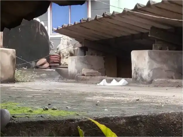 Arulmigu Selva Vinayagar Subramaniya Swamy Temple, Pudupakkam, Chennai - 600014 அருள்மிகு செல்வவிநாயகர் மற்றும் சுப்பிரமணிய சுவாமி திருக்கோயில், புதுப்பாக்கம், சென்னை - 600014, Chennai - Ancient Temple Architecture and History Image 3