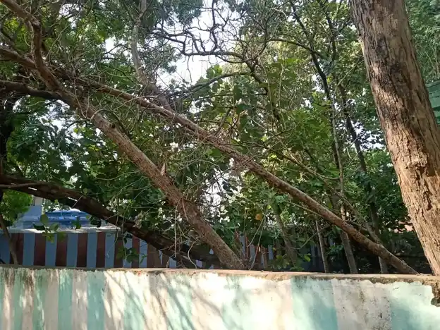 Arulmigu Selva Vinayagar Swamy Temple, Moolakaraipatti - 627354 அருள்மிகு செல்வ விநாயகர் திருக்கோயில்,  - 627354, Tirunelveli - Ancient Temple Architecture and History Image 2