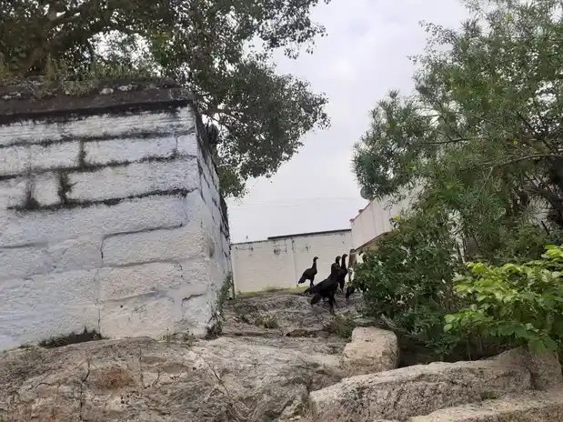 Arulmigu Selva Vinayagar Temple, Avalpundurai - 638115 Temple