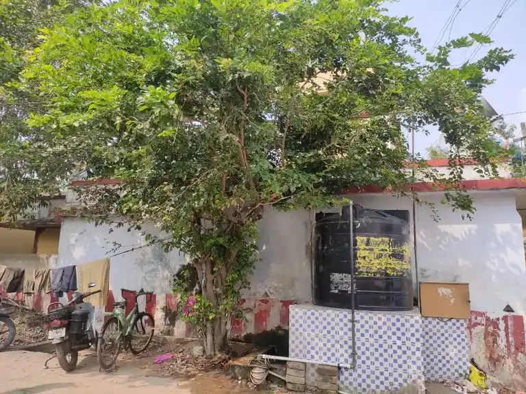 Arulmigu Selva Vinayagar Temple, Chinna Kanchipuram, Kancheepuram - 631501 அருள்மிகு செல்வ விநாயகர் திருக்கோயில், Chinna Kanchipuram, Kancheepuram - 631501, Kancheepuram - Ancient Temple Architecture and History Image 2