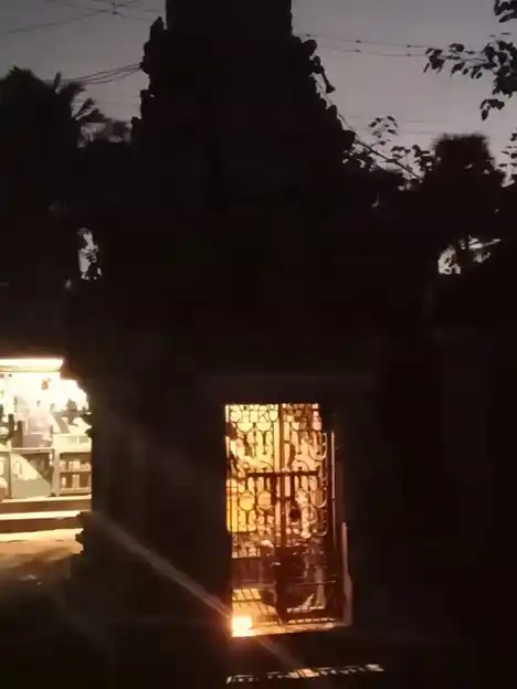 Arulmigu Selva Vinayagar Temple, Inside The Village, Puliyur - 602001