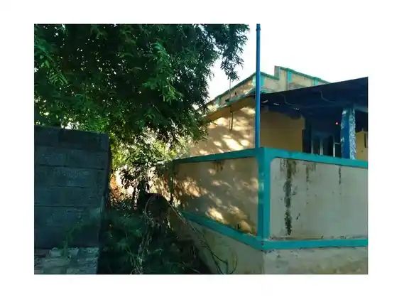 Arulmigu Selva Vinayagar Temple, Keelaputthaneri - 628601 அருள்மிகு செல்வ விநாயகர் திருக்கோயில், Keelaputthaneri - 628601, Thoothukudi - Ancient Temple Architecture and History Image 4