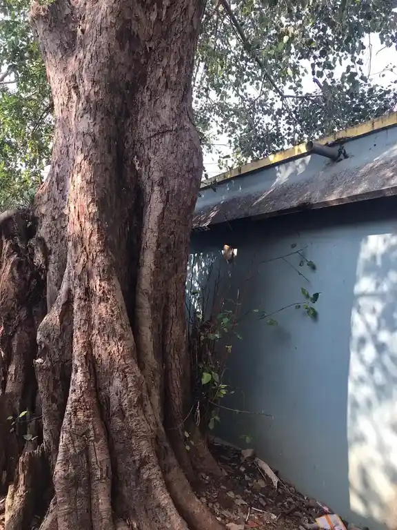 Arulmigu Selva Vinayagar Temple, Near Police Station, Arani - 601204 அருள்மிகு செல்வவிநாயகர் திருக்கோயில், Near Police Station, Arani - 601204, Tiruvallur - Ancient Temple Architecture and History Image 2