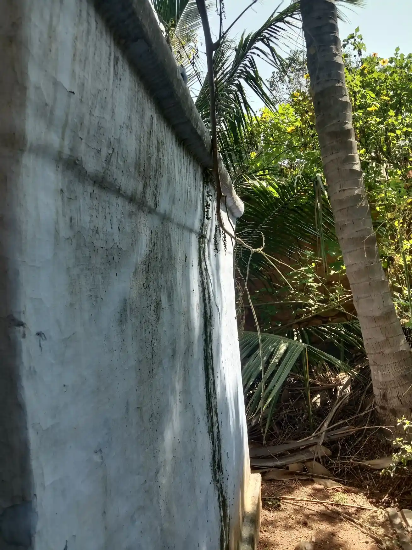 Arulmigu Selva Vinayagar Temple, Uthamapalayam - 625533 அருள்மிகு செல்வ விநாயகர் திருக்கோயில், Uthamapalayam - 625533, Theni - Ancient Temple Architecture and History Image 4