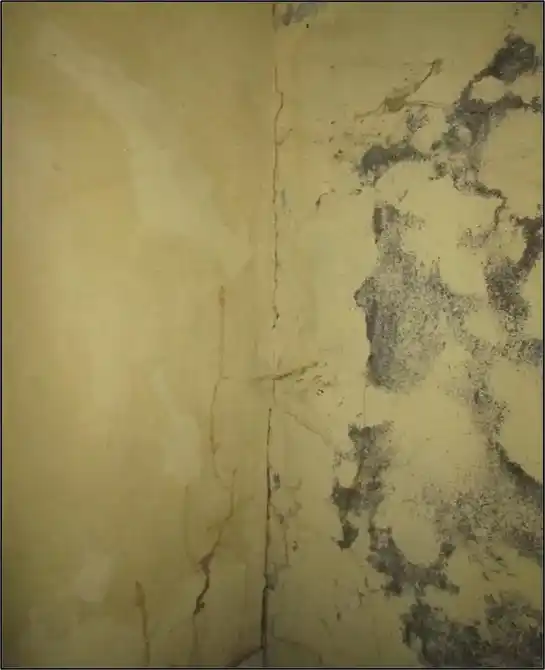 Arulmigu Selva Vinayagar Temple, Vellore - 632008 அருள்மிகு செல்வவிநாயகர் திருக்கோயில், வேலூர் - 632008, Vellore - Ancient Temple Architecture and History Image 2