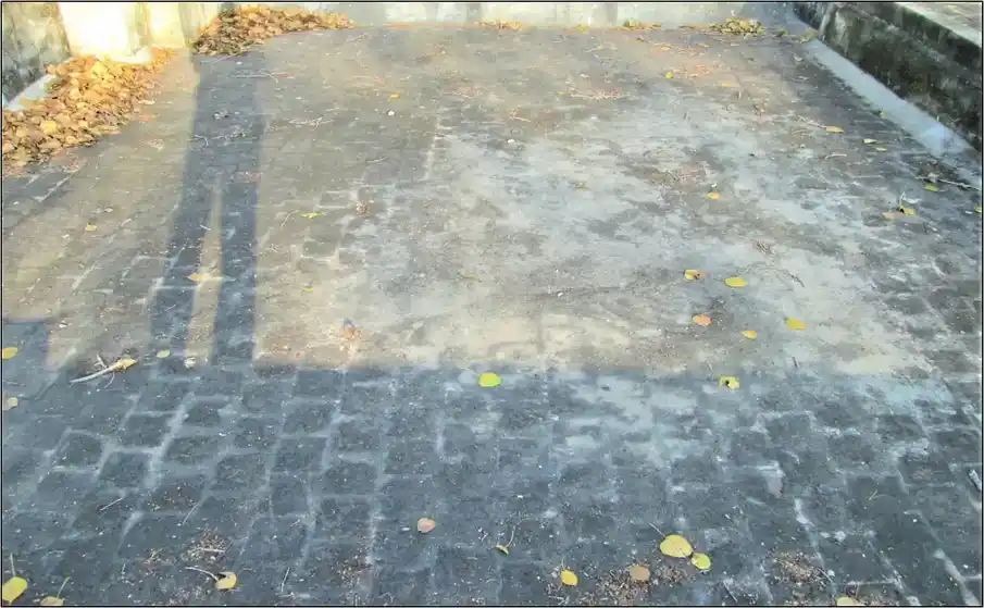 Arulmigu Selva Vinayagar Temple, Vellore - 632008 அருள்மிகு செல்வவிநாயகர் திருக்கோயில், வேலூர் - 632008, Vellore - Ancient Temple Architecture and History Image 8