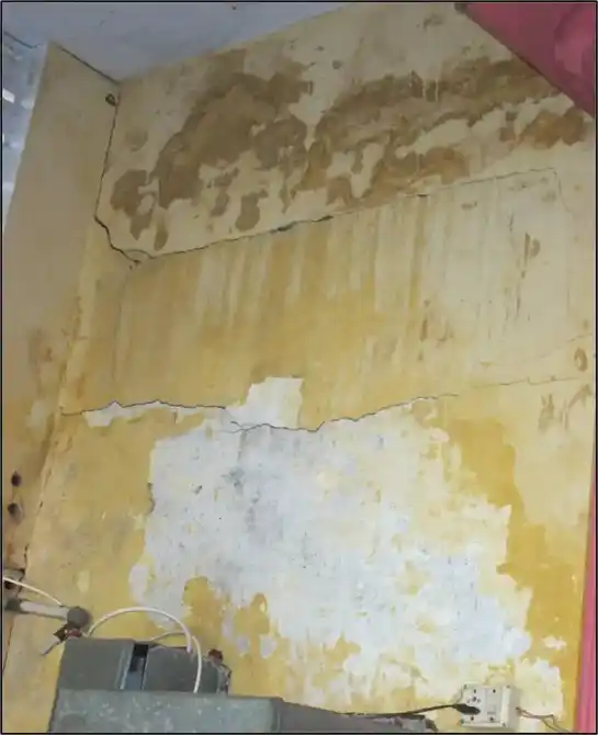 Arulmigu Selva Vinayagar Temple, Vellore - 632008 அருள்மிகு செல்வவிநாயகர் திருக்கோயில், வேலூர் - 632008, Vellore - Ancient Temple Architecture and History Image 9