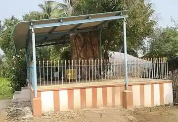 Arulmigu Selva Vinayagar Thirukoil, Selvakumarapalayam - 638452 Temple