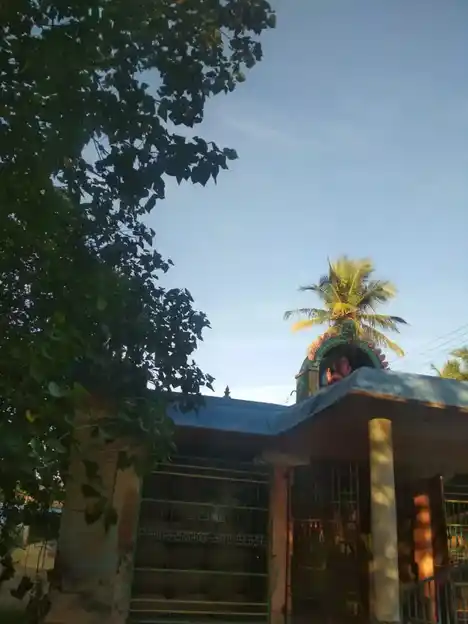 Arulmigu Selva Vinayakar Temple, Paruthikudi - 613204 அருள்மிகு செல்வ விநாயகர் திருக்கோயில், பருத்திக்குடி - 613204, Thanjavur - Ancient Temple Architecture and History Image 3