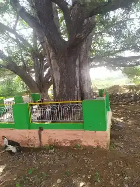 Arulmigu Selva Vinayakar Temple, Sinnakallipatti - 638302