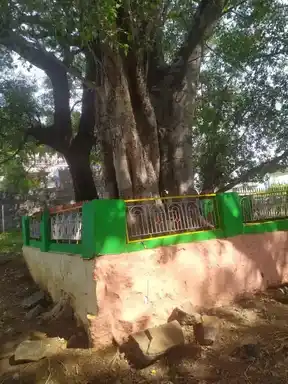 Arulmigu Selva Vinayakar Temple, Sinnakallipatti - 638302 அருள்மிகு செல்வ விநாயகர் திருக்கோயில், சின - 638302, Coimbatore - Ancient Temple Architecture and History Image 3