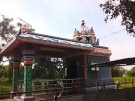 Arulmigu Selvamuthu Vinayagar Temple, Thoothur - 622411 அருள்மிகு செல்வ முத்து விநாயகர் திருக்கோயில், Thoothur - 622411, Pudukkottai - Ancient Temple Architecture and History Image 5