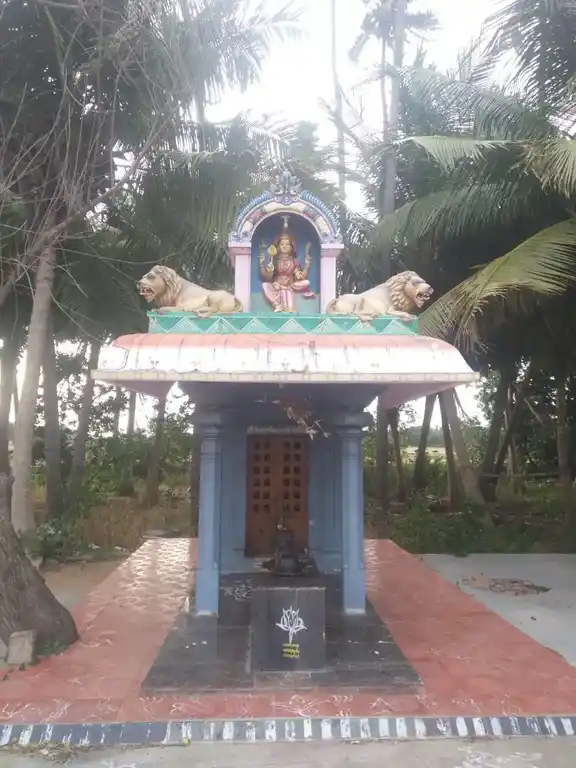 Arulmigu Selvaraya Ayyanar Temple, Nagachi - 613104