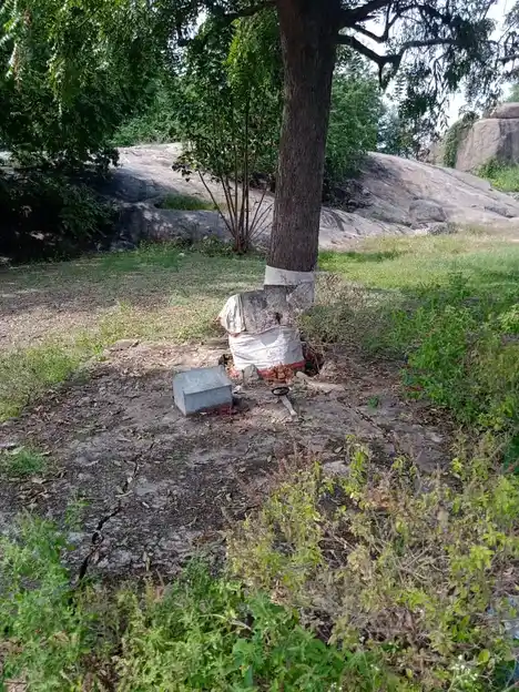 Arulmigu Selvarayasamy Temple, Kambainallur - 635202 அருள்மிகு செல்வராயசாமி திருக்கோயில், Kambainallur - 635202, Dharmapuri - Ancient Temple Architecture and History Image 2