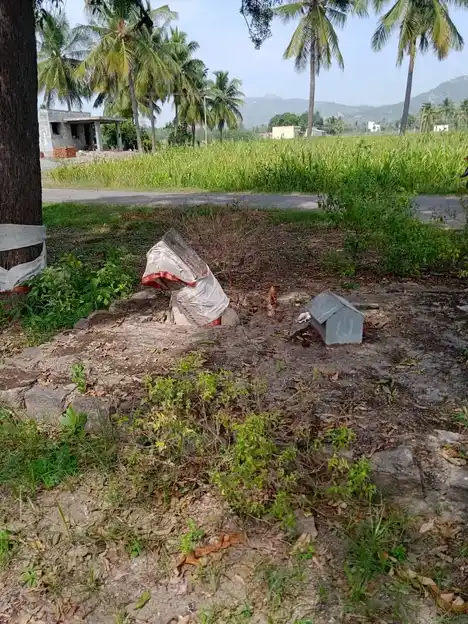 Arulmigu Selvarayasamy Temple, Kambainallur - 635202 அருள்மிகு செல்வராயசாமி திருக்கோயில், Kambainallur - 635202, Dharmapuri - Ancient Temple Architecture and History Image 3