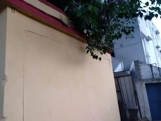 Arulmigu Selvasithi Vinayagar Temple, Pollachi - 642001 அருள்மிகு செல்வசித்திவிநாயகர் திருக்கோயில், பொள்ளாச்சி - 642001, Coimbatore - Ancient Temple Architecture and History Image 4