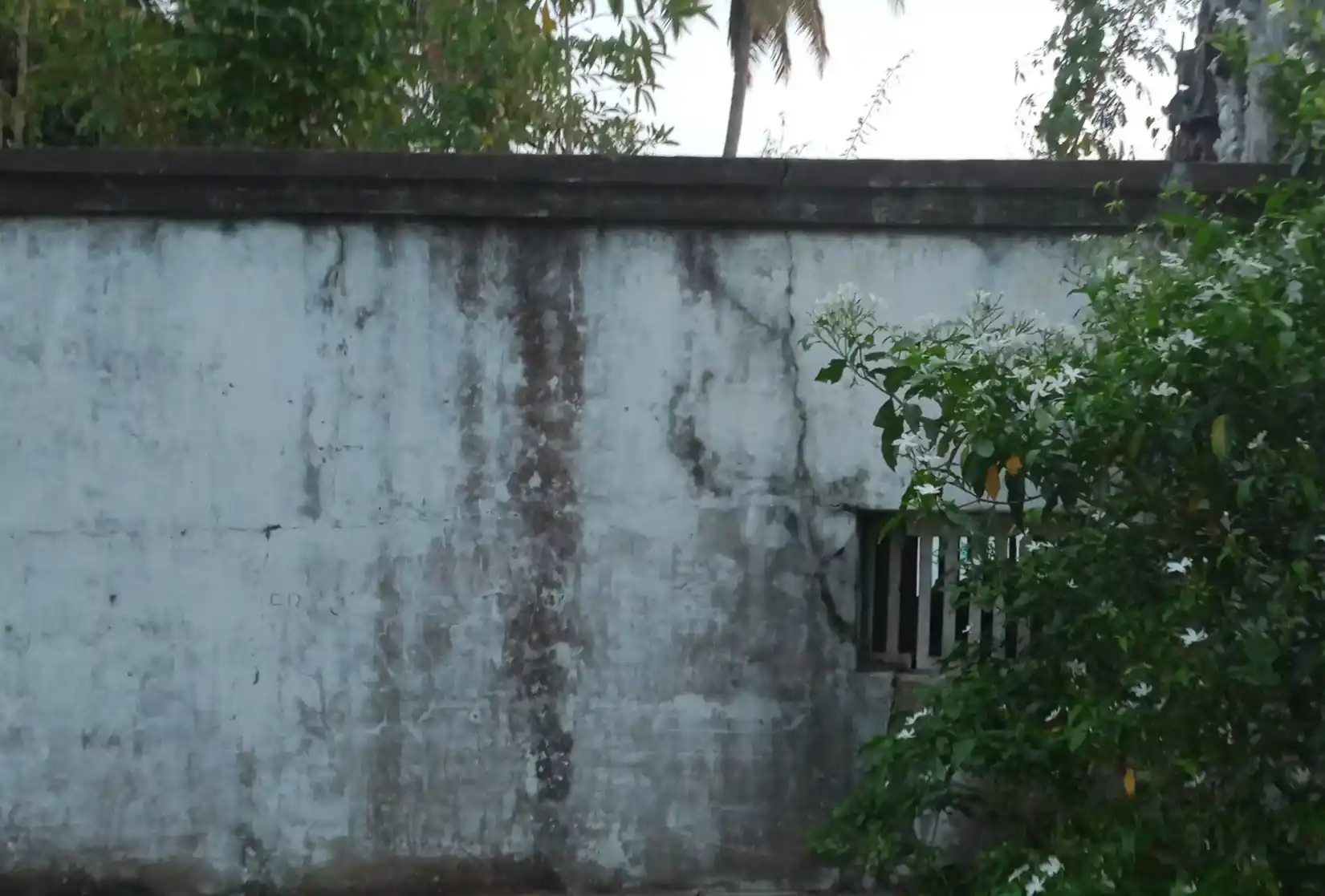 Arulmigu Selvaviayagar Temple, Apparasampettai, Apparasampettai - 614018 அருள்மிகு செல்வவிநாயகர் திருக்கோயில், Apparasampettai, Apparasampettai - 614018, Thiruvarur - Ancient Temple Architecture and History Image 3