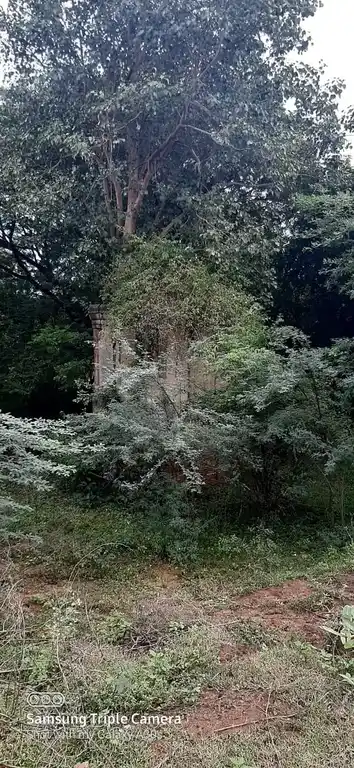 Arulmigu Selvavinagar Temple, Mavuthirappu - 612504 அருள்மிகு செல்வ விநாயகர் திருக்கோயில், Mavuthirappu - 612504, Thanjavur - Ancient Temple Architecture and History Image 3