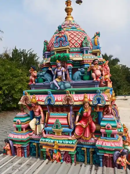 Arulmigu Selvavinayagar And Meenakshi Sundareshwarar Temple, Vilankurichi, Coimbatore - 641035 அருள்மிகு செல்வவிநாயகர் மற்றும் மீனாட்சி சுந்தரேஸ்வரர் திருக்கோயில், விளாங்குறிச்சி, Coimbatore - 641035, Coimbatore - Ancient Temple Architecture and History Image 6