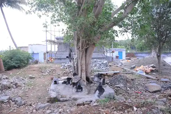 Arulmigu Selvavinayagar Temple, Amandhakadavu - 642126