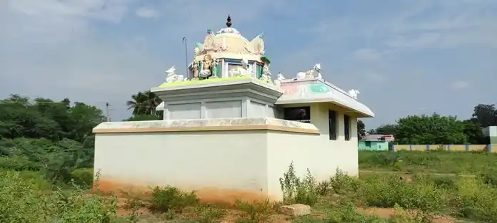 Arulmigu Selvavinayagar Temple, Naganoor - 621313