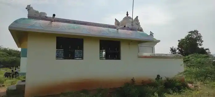 Arulmigu Selvavinayagar Temple, Naganoor - 621313 அருள்மிகு செல்வ விநாயகர் திருக்கோயில், Naganoor - 621313, Karur - Ancient Temple Architecture and History Image 2