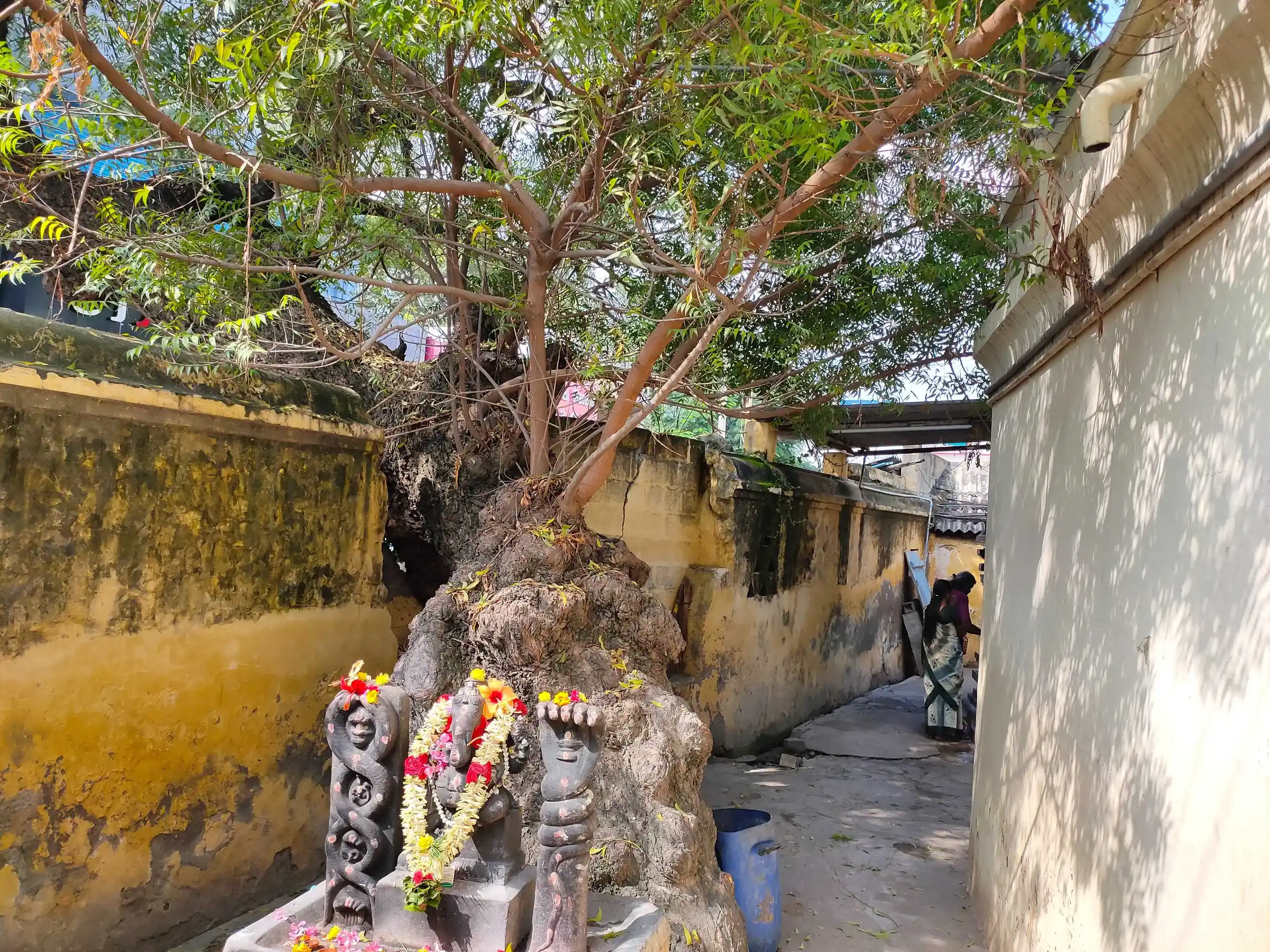 Arulmigu Selvavinayagar Temple, Palladam - 641664 அருள்மிகு செல்வவிநாயகர் திருக்கோயில், Palladam - 641664, Tiruppur - Ancient Temple Architecture and History Image 3