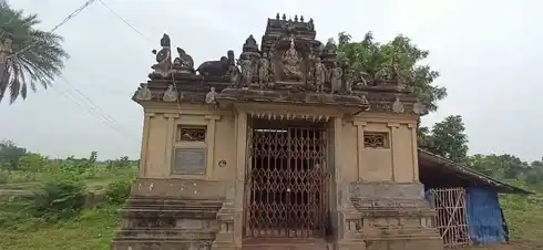 Arulmigu Selvavinayagar Temple, Pillali - 609704 Temple